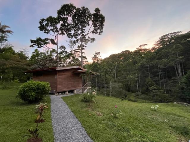 Siquirres Mountain Lodge Siqurres Da Alegria Dış mekan fotoğraf